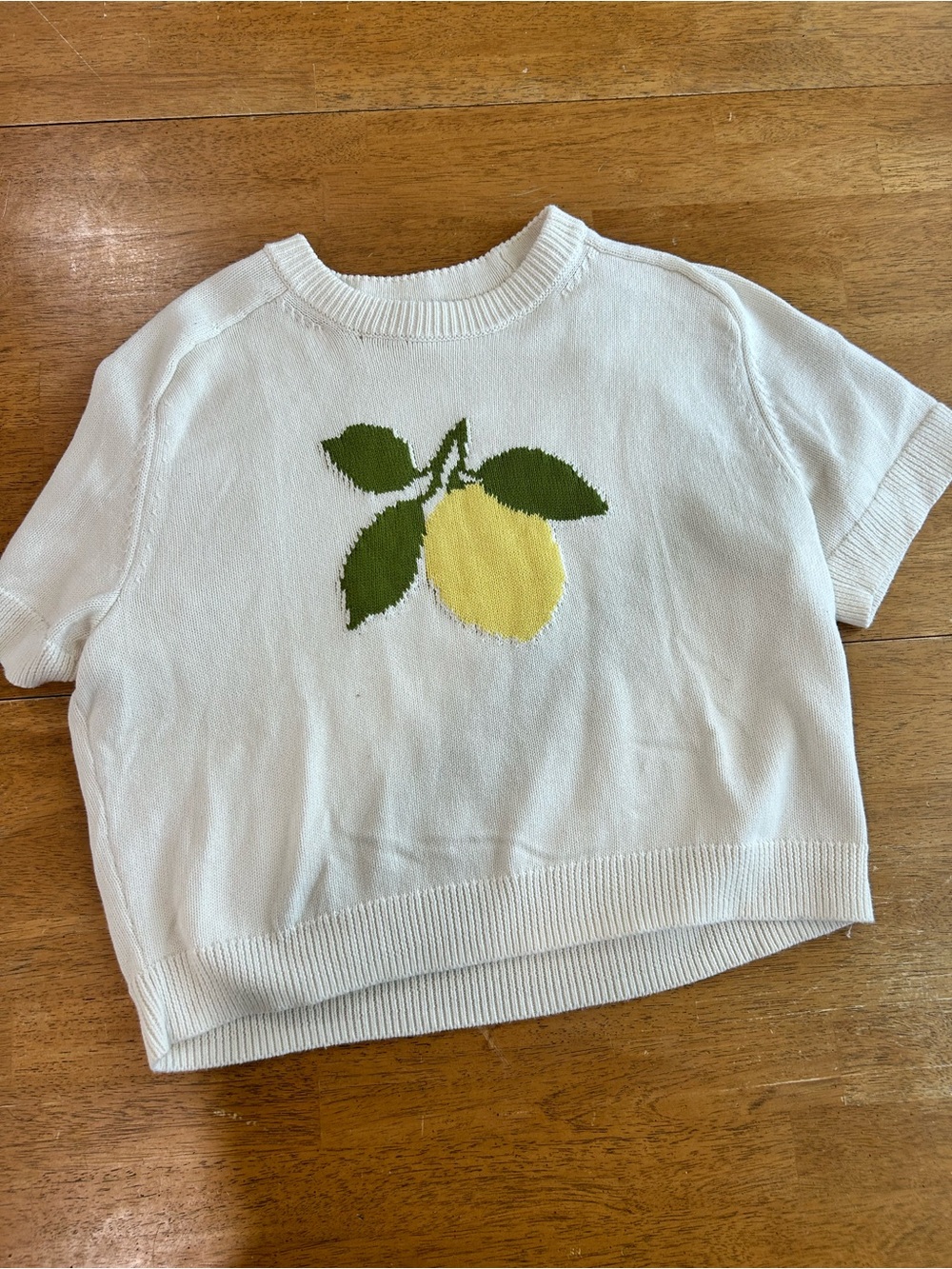 Abercrombie & Fitch Lemon Graphic Short Sleeve Knit Sweater Top Size Large